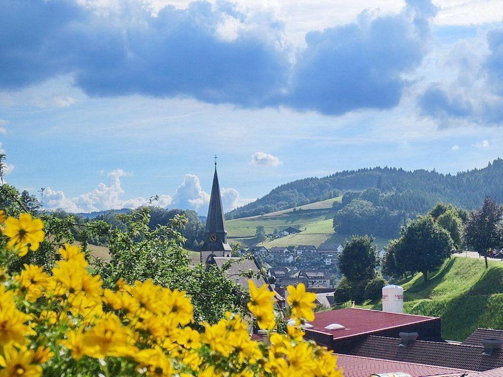 Ferienwohnung Am Kapellenberg - Am Rande Des Nationalparks Schwarzwald บาด ปีเตอร์สตัล กรีสบาค ภายนอก รูปภาพ