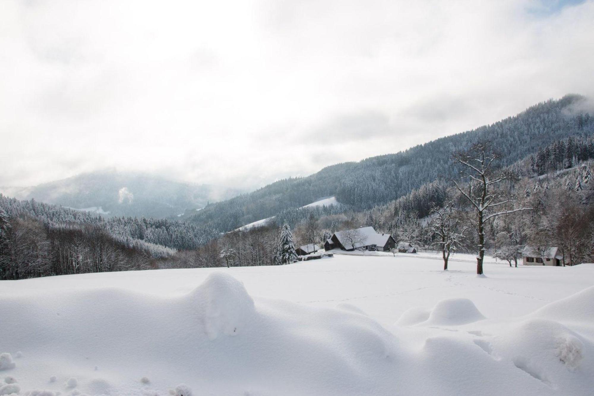 Ferienwohnung Am Kapellenberg - Am Rande Des Nationalparks Schwarzwald บาด ปีเตอร์สตัล กรีสบาค ภายนอก รูปภาพ