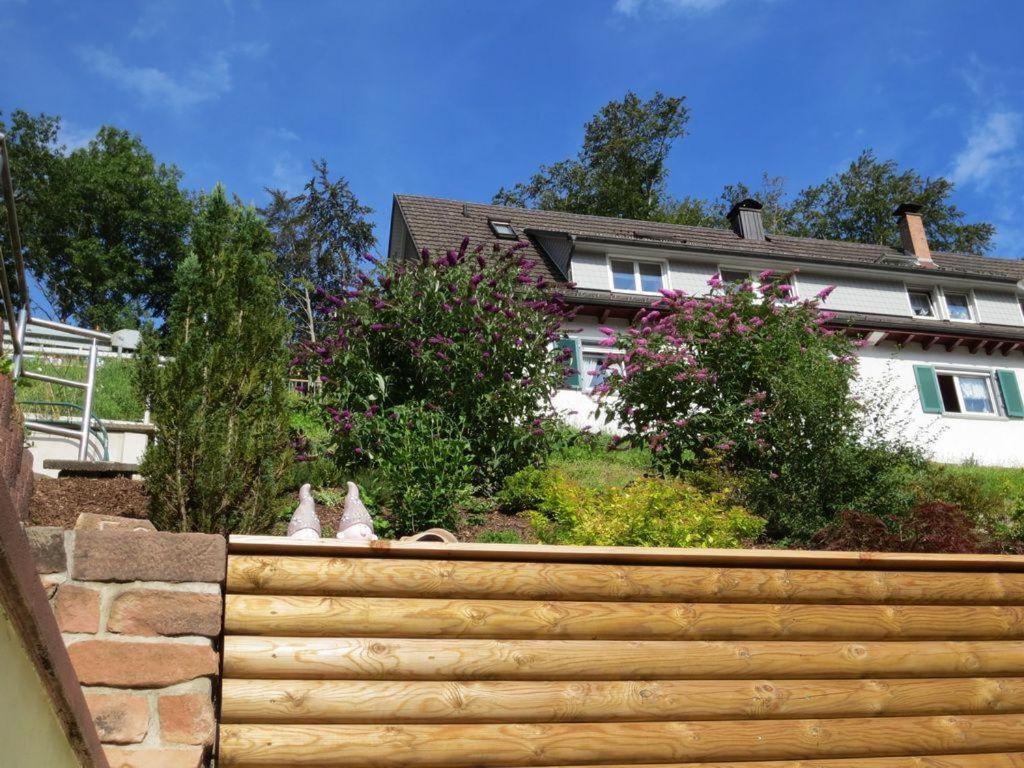 Ferienwohnung Am Kapellenberg - Am Rande Des Nationalparks Schwarzwald บาด ปีเตอร์สตัล กรีสบาค ภายนอก รูปภาพ