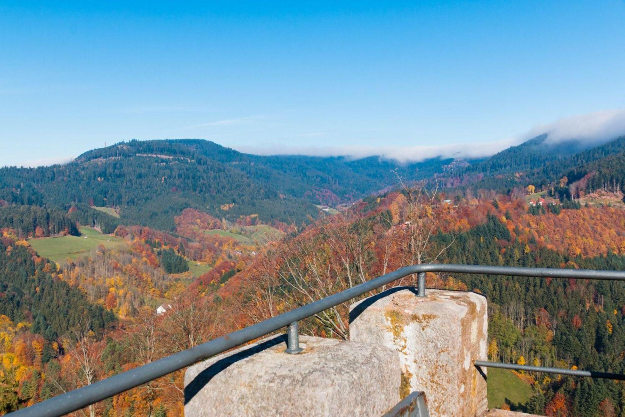 Ferienwohnung Am Kapellenberg - Am Rande Des Nationalparks Schwarzwald บาด ปีเตอร์สตัล กรีสบาค ภายนอก รูปภาพ