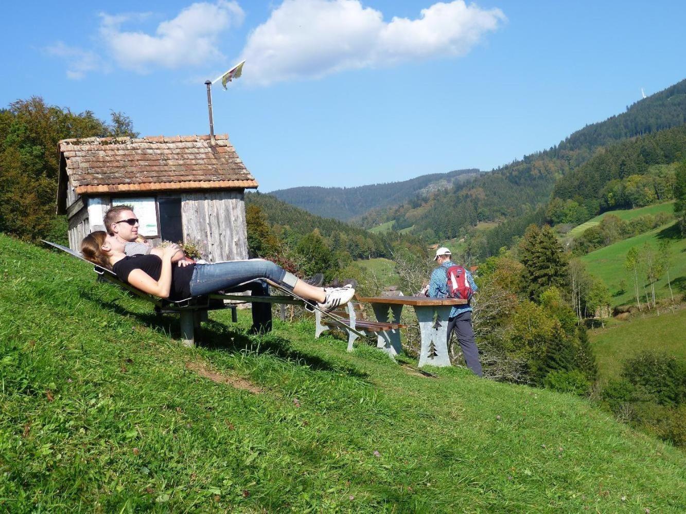 Ferienwohnung Am Kapellenberg - Am Rande Des Nationalparks Schwarzwald บาด ปีเตอร์สตัล กรีสบาค ภายนอก รูปภาพ