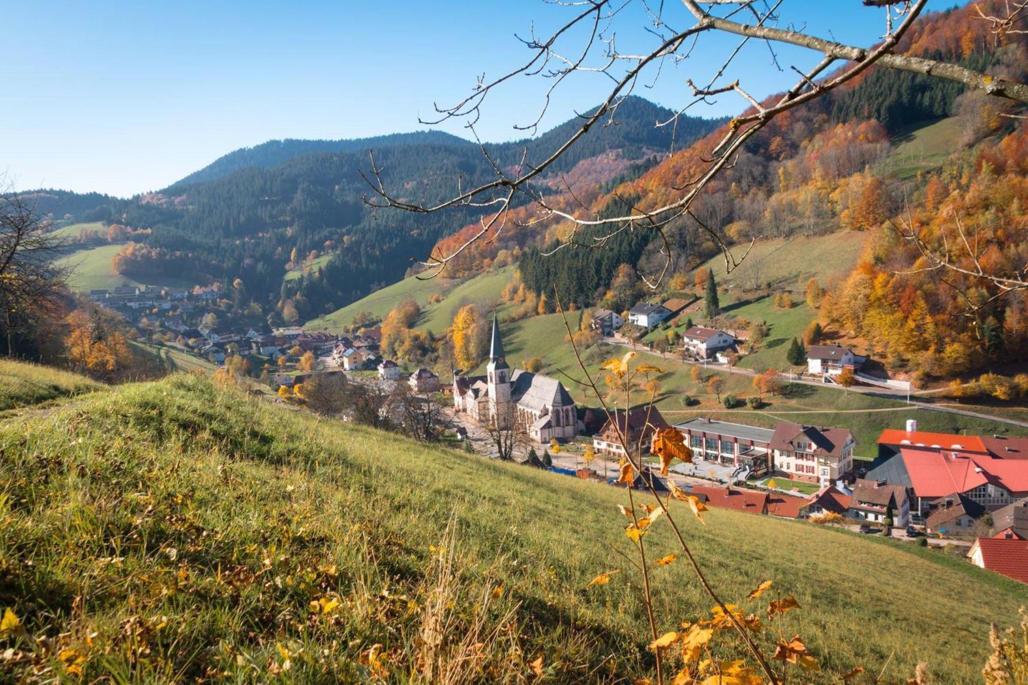 Ferienwohnung Am Kapellenberg - Am Rande Des Nationalparks Schwarzwald บาด ปีเตอร์สตัล กรีสบาค ภายนอก รูปภาพ