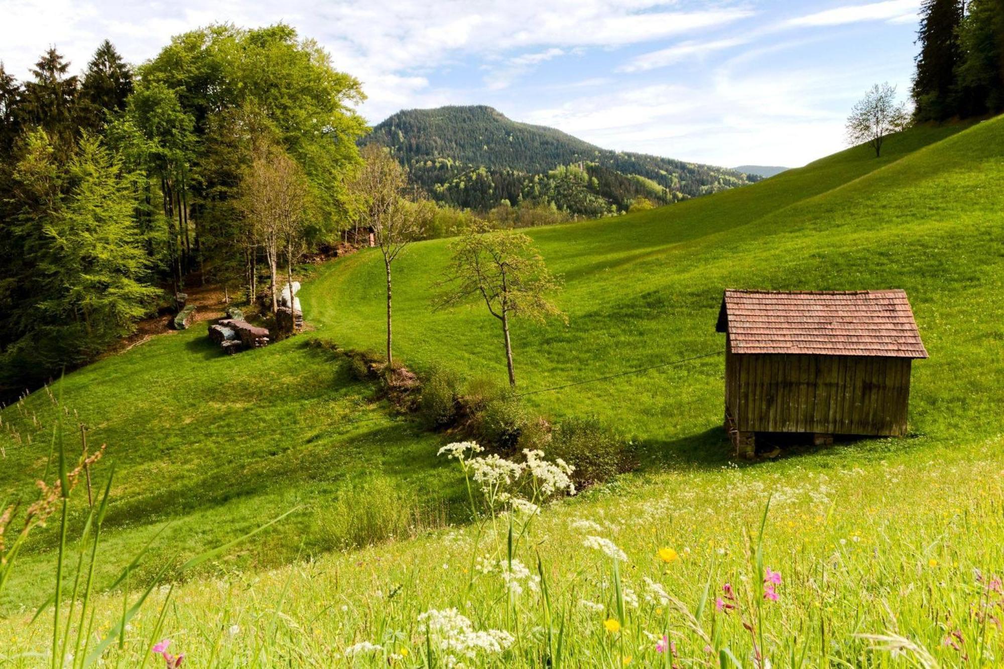 Ferienwohnung Am Kapellenberg - Am Rande Des Nationalparks Schwarzwald บาด ปีเตอร์สตัล กรีสบาค ภายนอก รูปภาพ