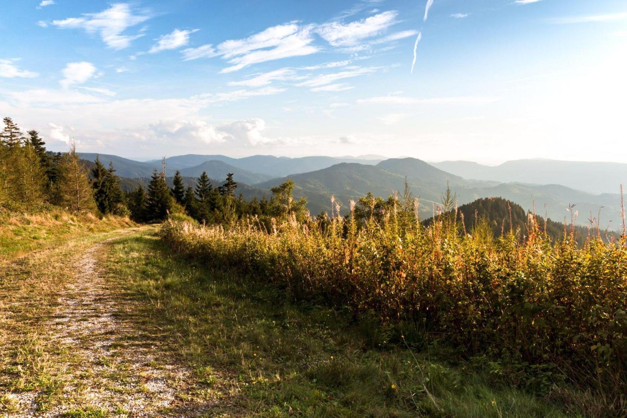 Ferienwohnung Am Kapellenberg - Am Rande Des Nationalparks Schwarzwald บาด ปีเตอร์สตัล กรีสบาค ภายนอก รูปภาพ